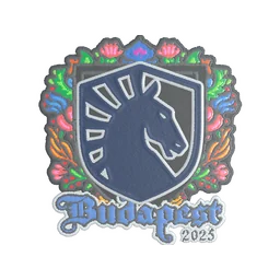 Team Liquid (вышитая) | Будапешт-2025
