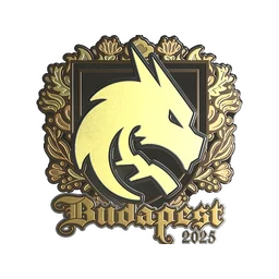 Team Spirit (золотая) | Будапешт-2025
