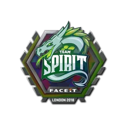 Team Spirit (голографическая) | Лондон-2018
