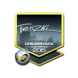 tenzki (металлическая) | Клуж-Напока-2015
