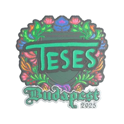 TeSeS (вышитая) | Будапешт-2025