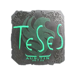 TeSeS (металлическая) | Остин-2025