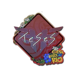 TeSeS (с блёстками) | Рио-2022