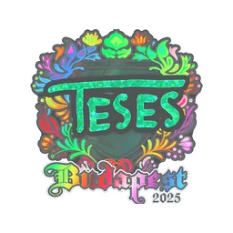 TeSeS (голографическая) | Будапешт-2025