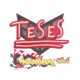 TeSeS | Шанхай-2024