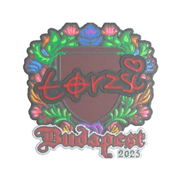 torzsi (вышитая) | Будапешт-2025