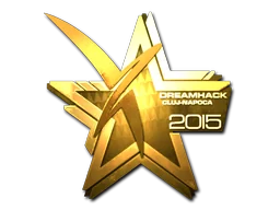 Vexed Gaming (золотая) | Клуж-Напока-2015