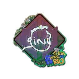 VINI (с блёстками) | Рио-2022
