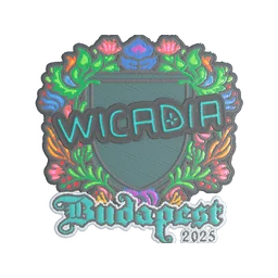 Wicadia (вышитая) | Будапешт-2025