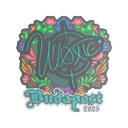 woxic (вышитая) | Будапешт-2025