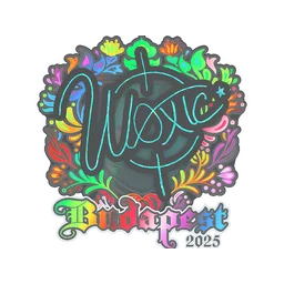 woxic (голографическая) | Будапешт-2025
