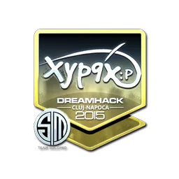 Xyp9x (металлическая) | Клуж-Напока-2015