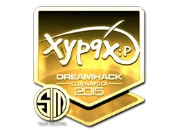 Xyp9x (золотая) | Клуж-Напока-2015