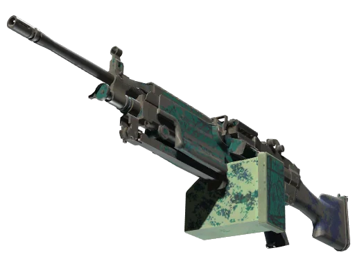 M249 | Приморский прогноз — поношенное, закалённое в боях