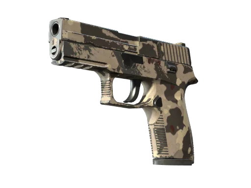 P250 | Чёрно-бежевый — после полевых испытаний