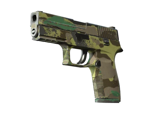 P250 | Северный лес — после полевых испытаний