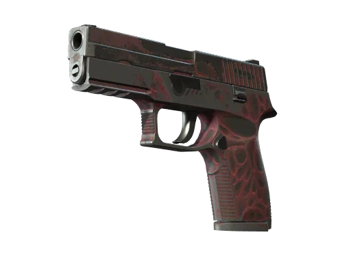P250 | Загрязнитель — поношенное, закалённое в боях
