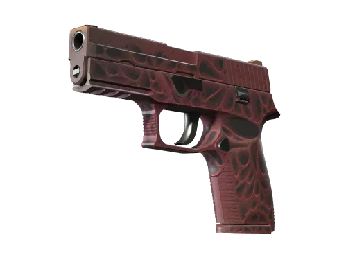 P250 | Загрязнитель — прямо с завода, немного поношенное
