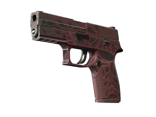 P250 | Загрязнитель — после полевых испытаний