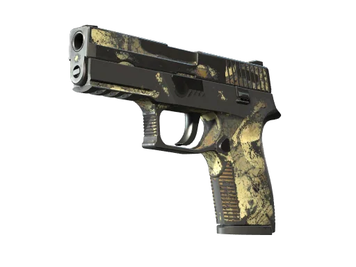 P250 | Заражение — поношенное, закалённое в боях