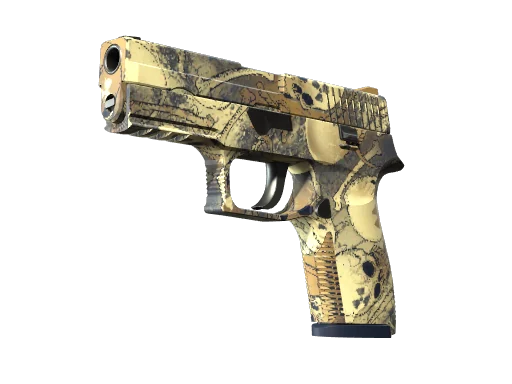P250 | Заражение — прямо с завода, немного поношенное