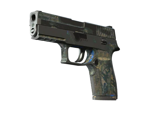 P250 | Обменник — поношенное, закалённое в боях