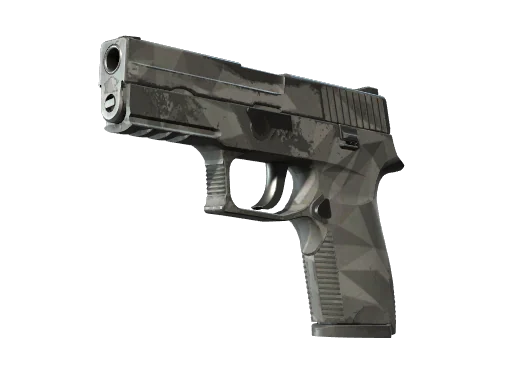P250 | Грани — после полевых испытаний