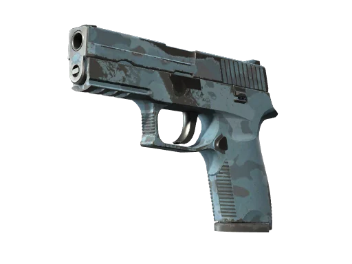 P250 | Лесная ночь — после полевых испытаний