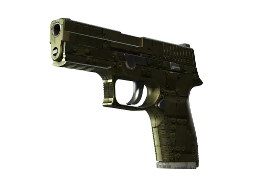 P250 | Железное покрытие — поношенное, закалённое в боях