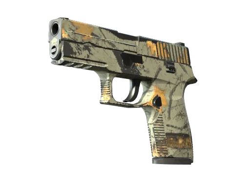 P250 | Современный охотник — после полевых испытаний