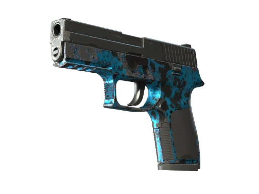 P250 | Цвета прибоя — после полевых испытаний