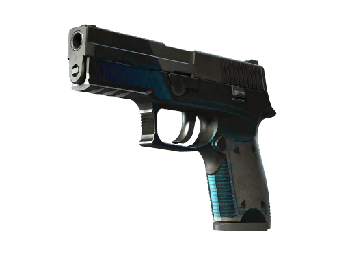 P250 | Валентность — поношенное, закалённое в боях