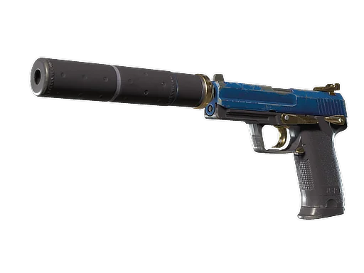USP-S | Королевский страж — после полевых испытаний