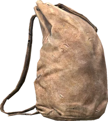 Кожаный мешок