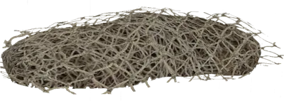 Сетка