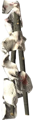 Шина