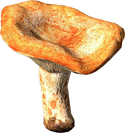 Рыжик в DayZ
