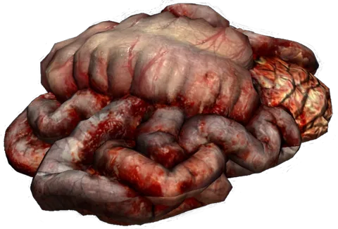 Потроха в DayZ