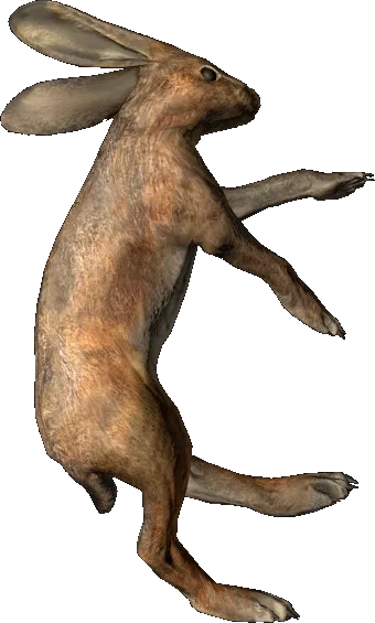 Заяц в DayZ