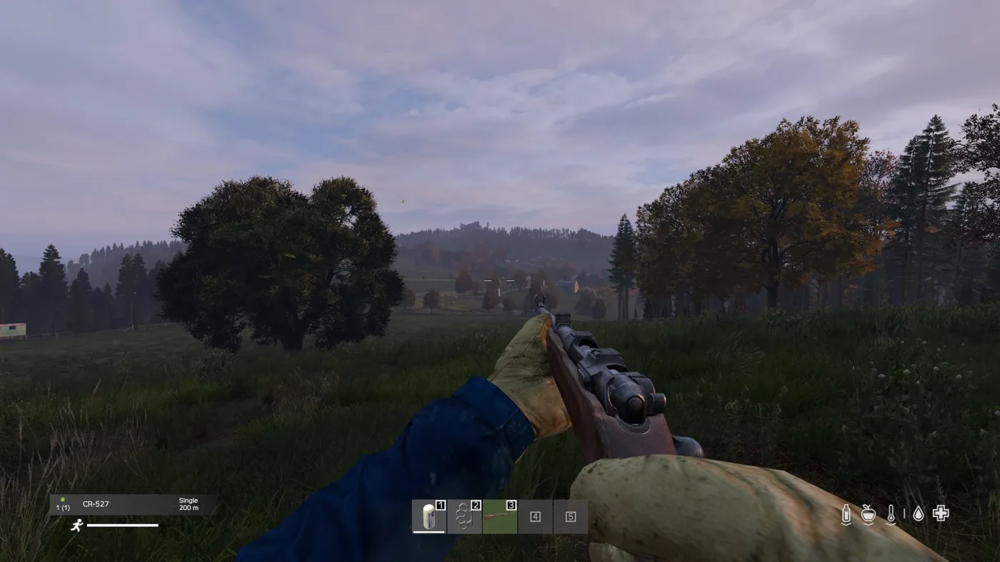 Экран DayZ