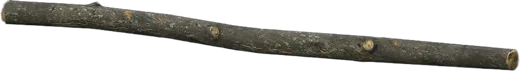 Палки в DayZ