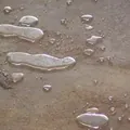 Снимок: Ртуть
