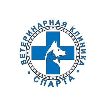 Шумкова Карина Михайловна