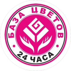 Ит Франчайзинг