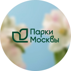 Развитие парков