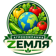 Гольд Александра Валерьевна