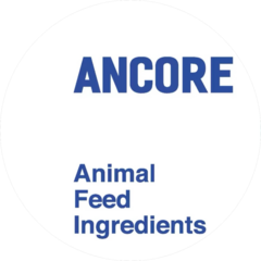 Ancore