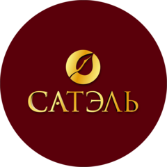 Сатардинова Эльмира Евгеньевна