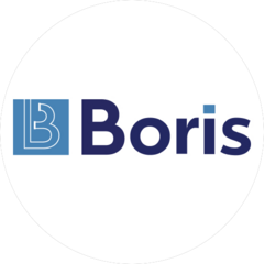 Boris manufacturing FZ LLC