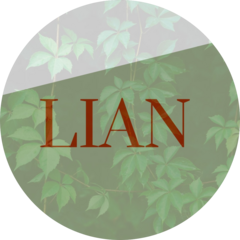 LIAN шоурум